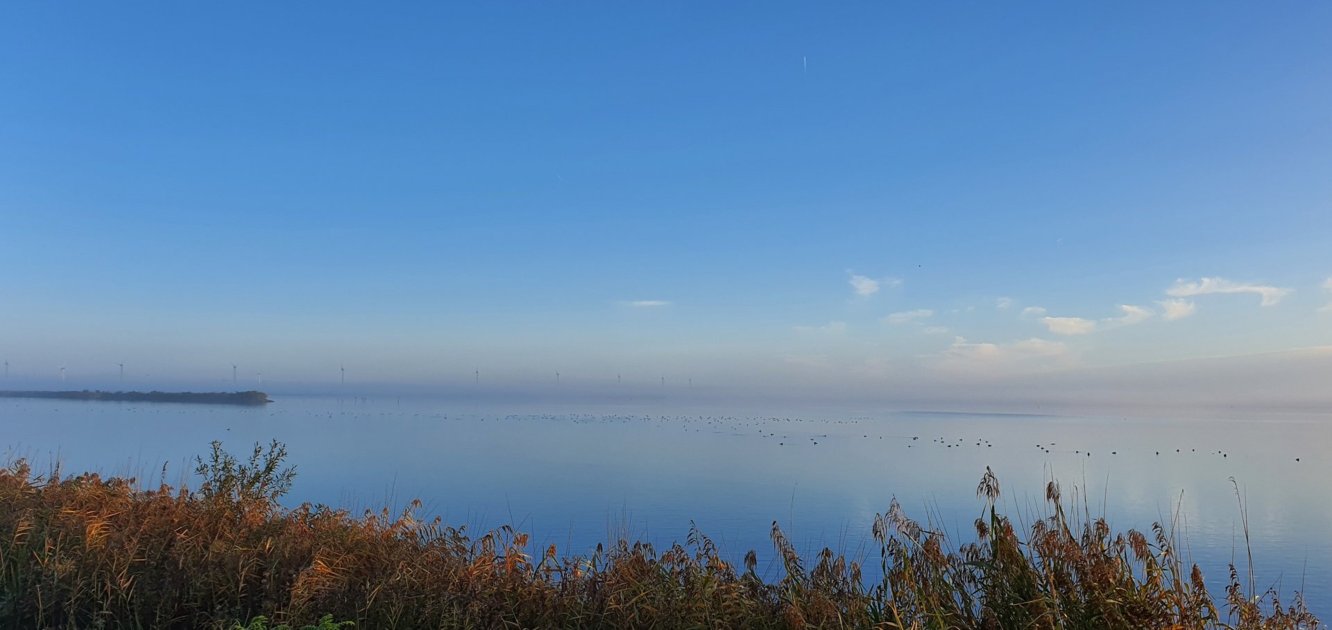 20221018_085745 kopie 20221018_085745 kopie